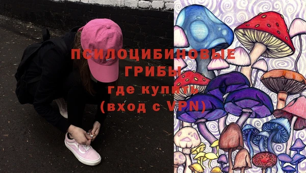 ГАЛЛЮЦИНОГЕННЫЕ ГРИБЫ Абинск
