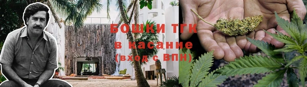 ГАЛЛЮЦИНОГЕННЫЕ ГРИБЫ Абинск